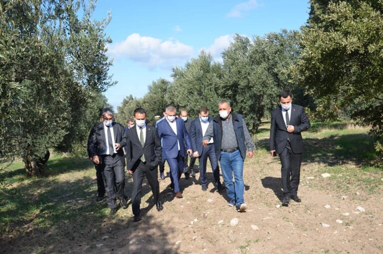 Hasat vakti bahçelerimizi ziyaret